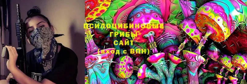 Псилоцибиновые грибы Psilocybe  Сыктывкар 